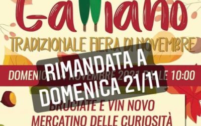 TORNA LA FIERA A GALLIANO!!